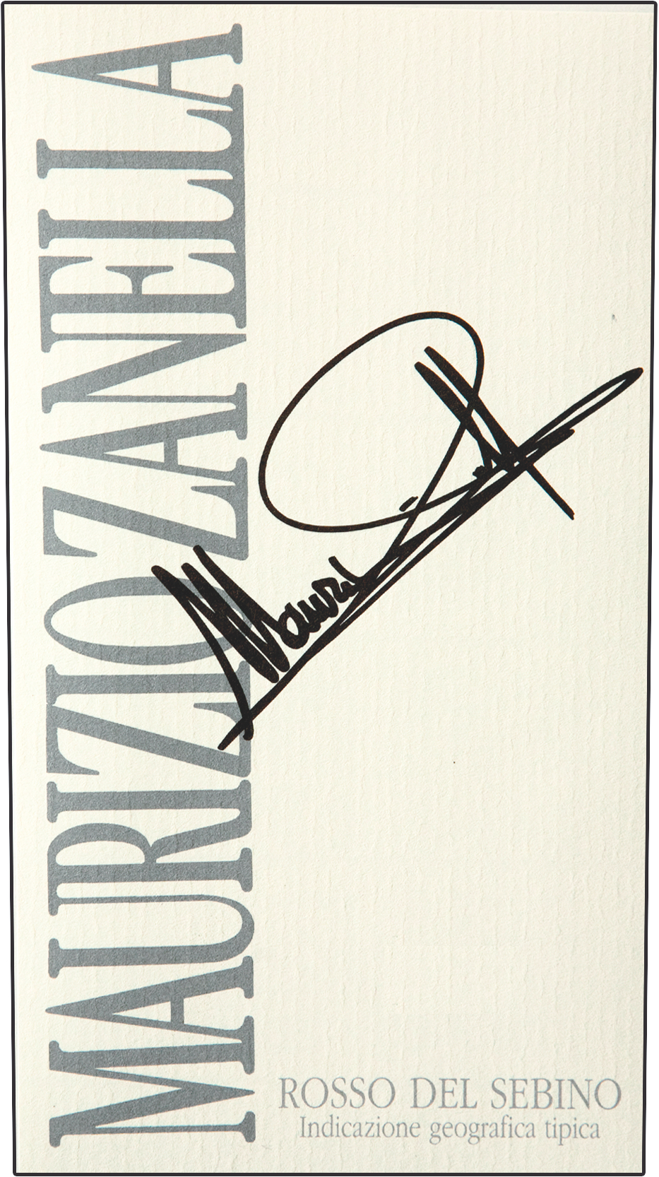 Maurizio Zanella 2010