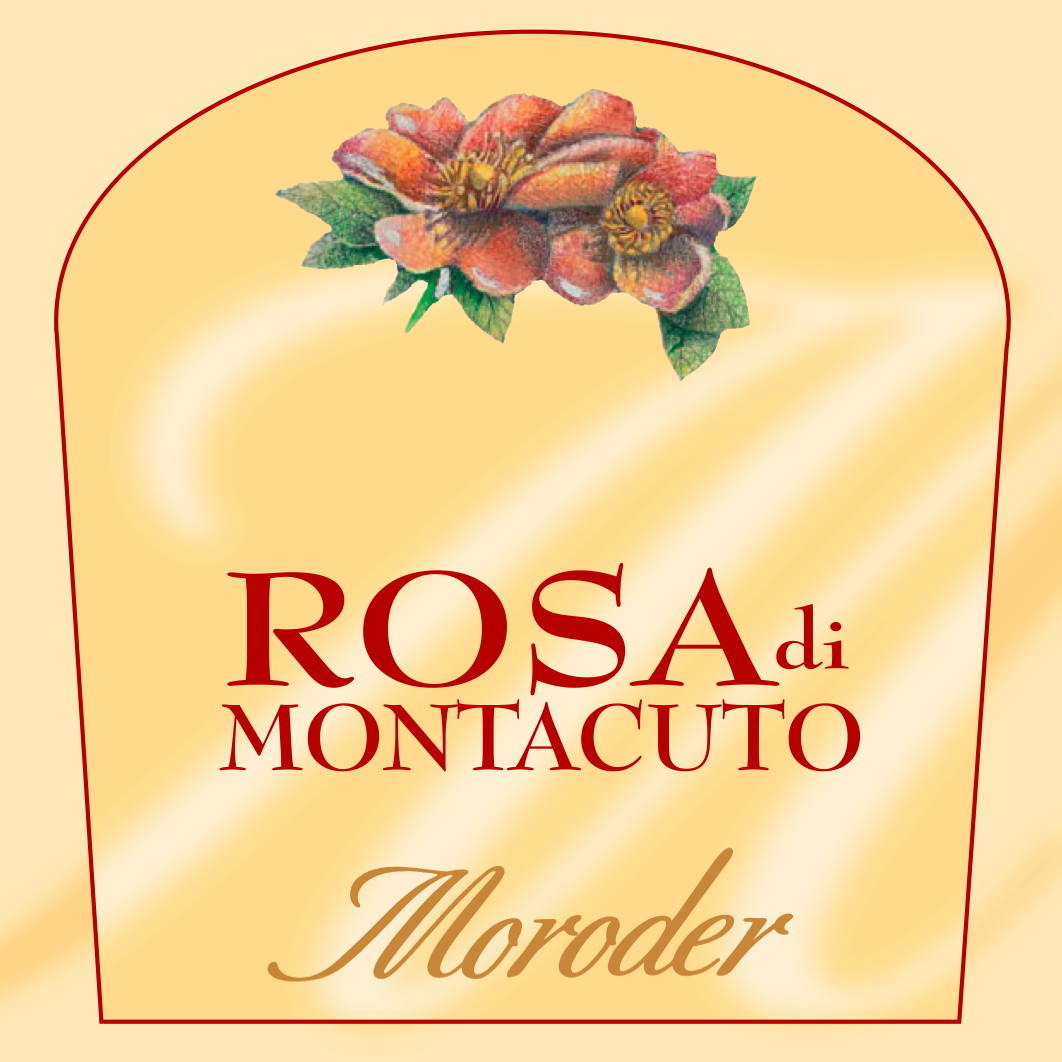Rosa di Montacuto 2008