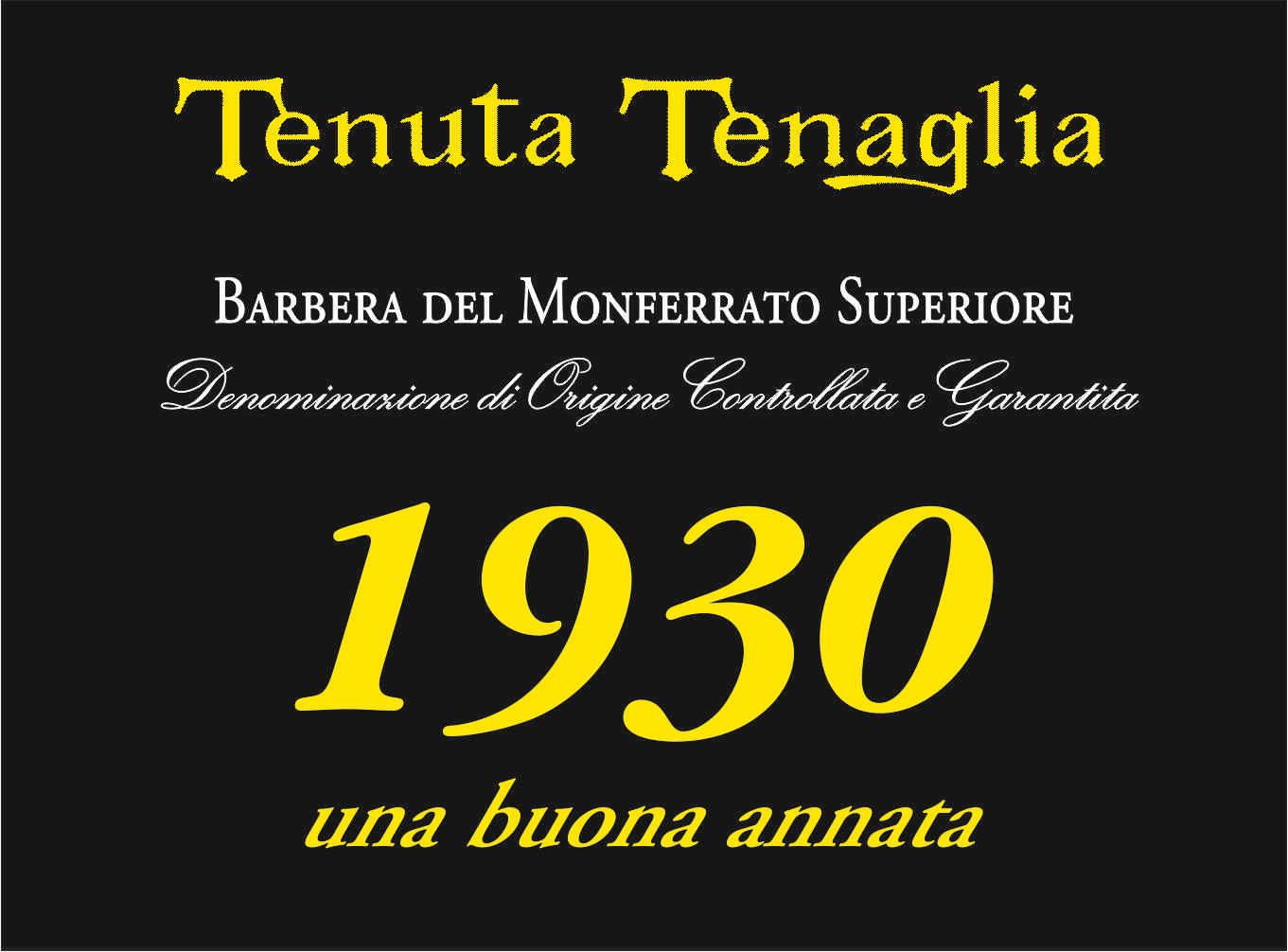 Barbera del Monferrato 1930 una buona annata 2010