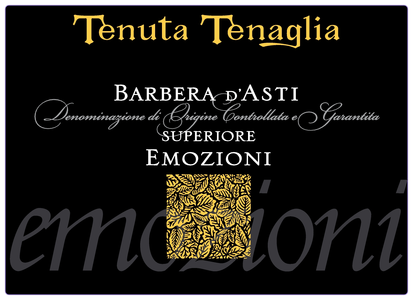 Barbera d'Asti Superiore Emozioni 2007