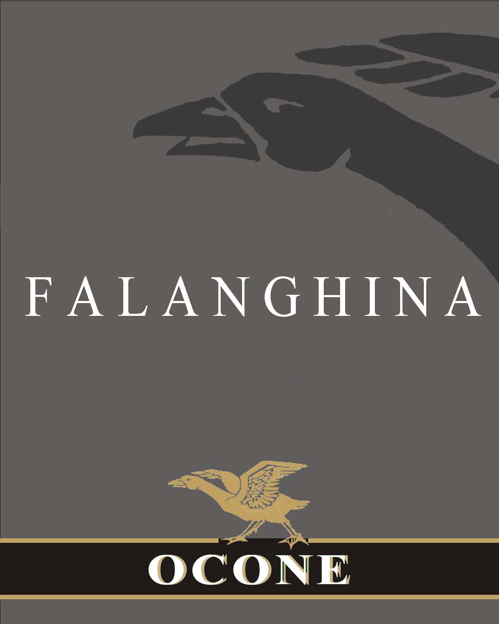 Falanghina Taburno 2009