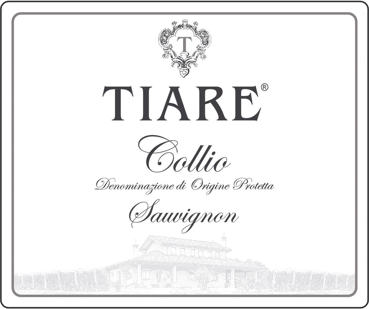 Sauvignon Collio 2011