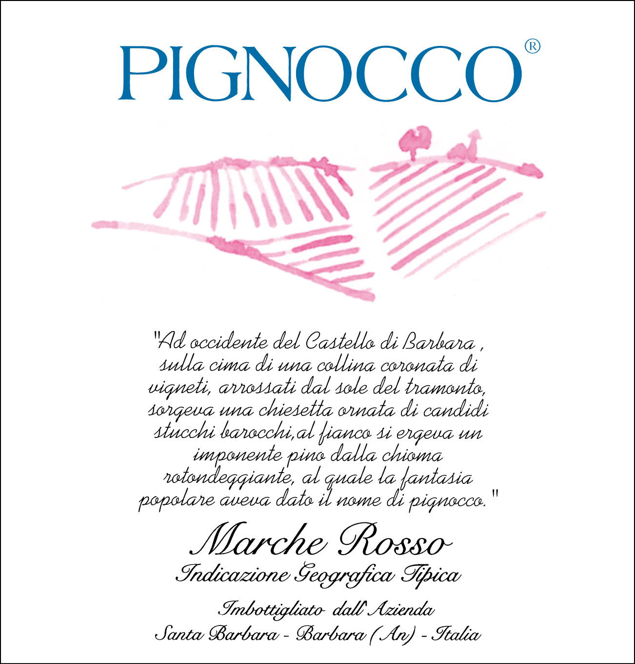 Pignocco Rosso Marche Igt 2007