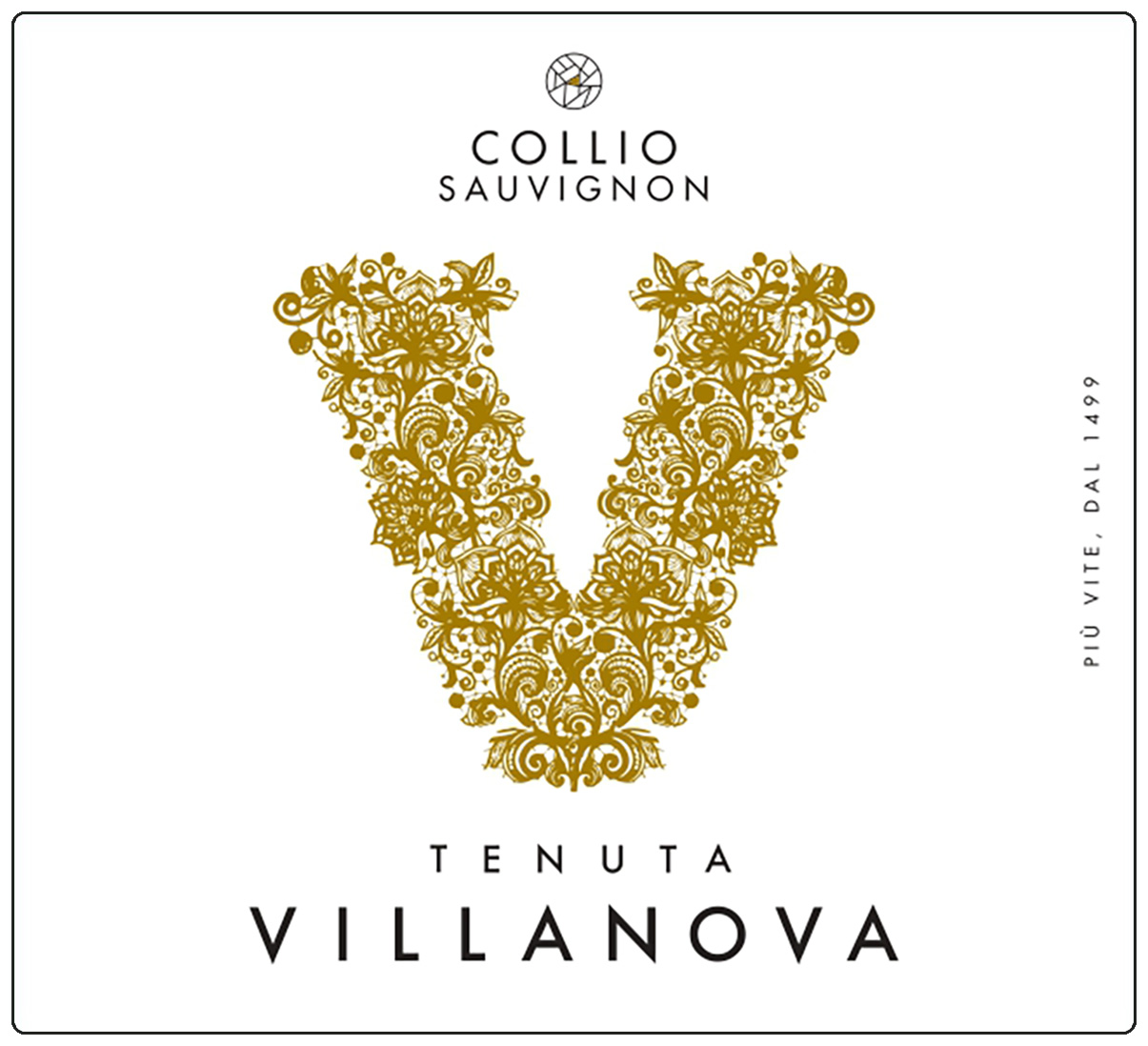 Sauvignon Collio 2023