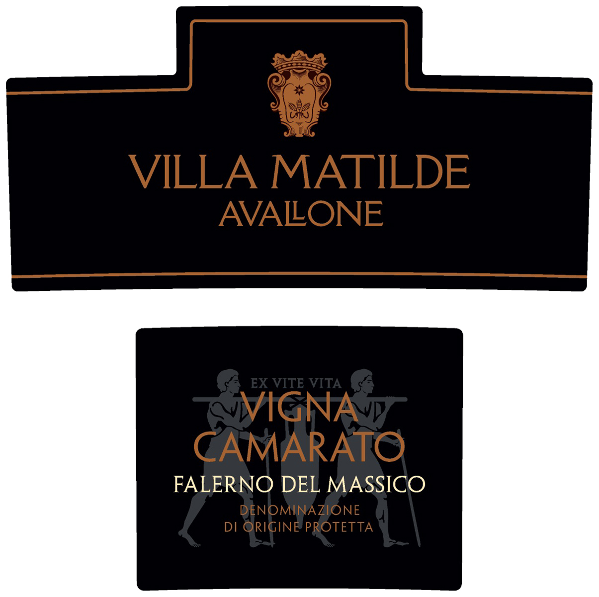 Falerno del Massico Vigna Camarato 2007