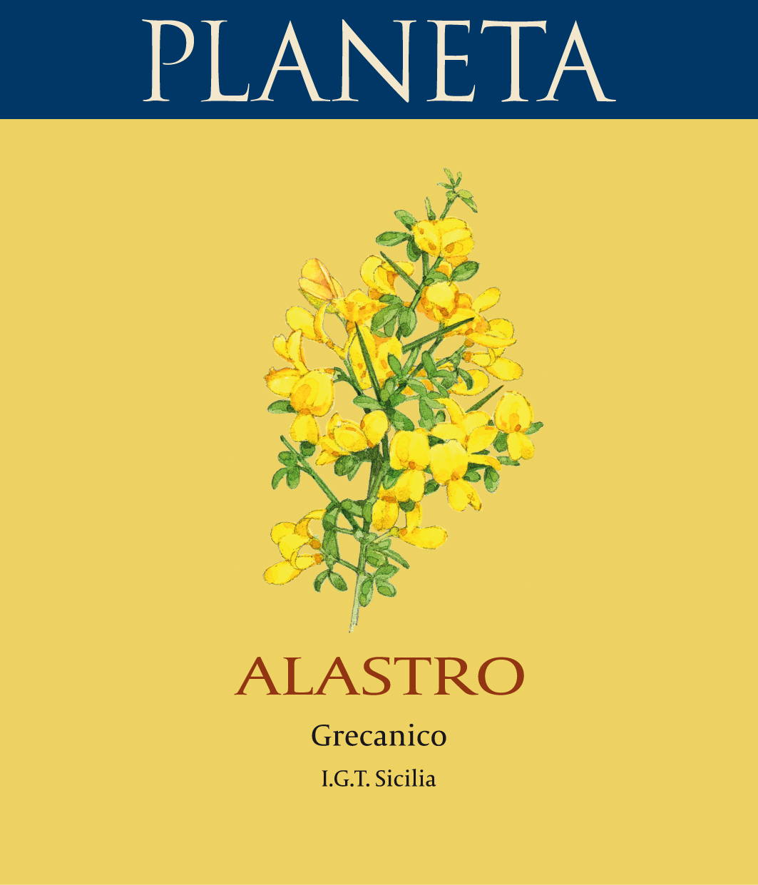 Alastro 1995