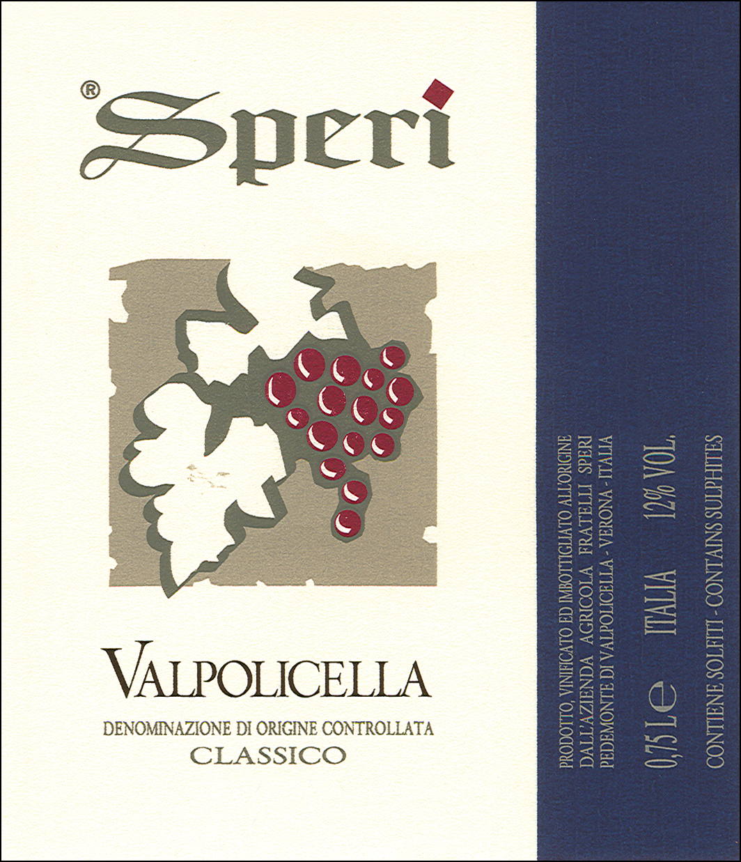Valpolicella Classico 2008