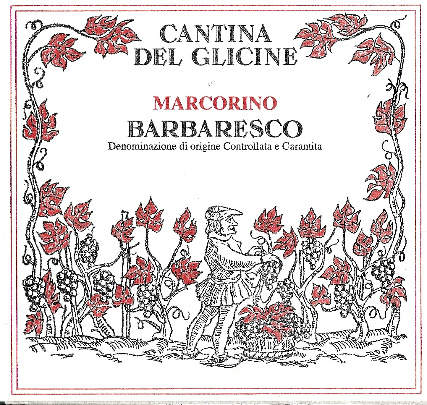 Barbaresco Marcorino 2008
