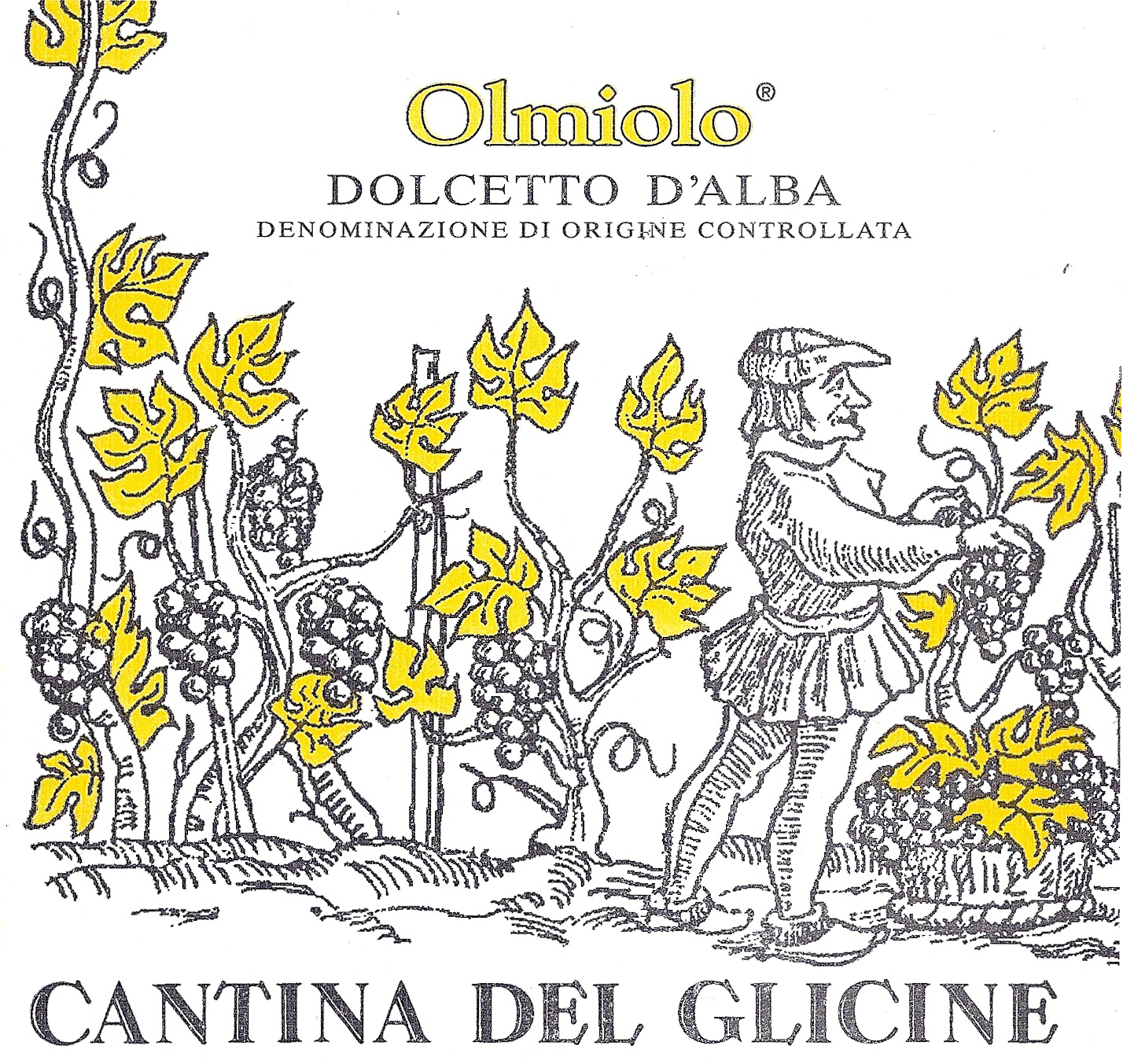 Dolcetto d'Alba Olmiolo 2008