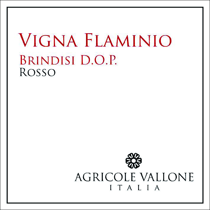 Rosso Brindisi Vigna Flaminio 2007