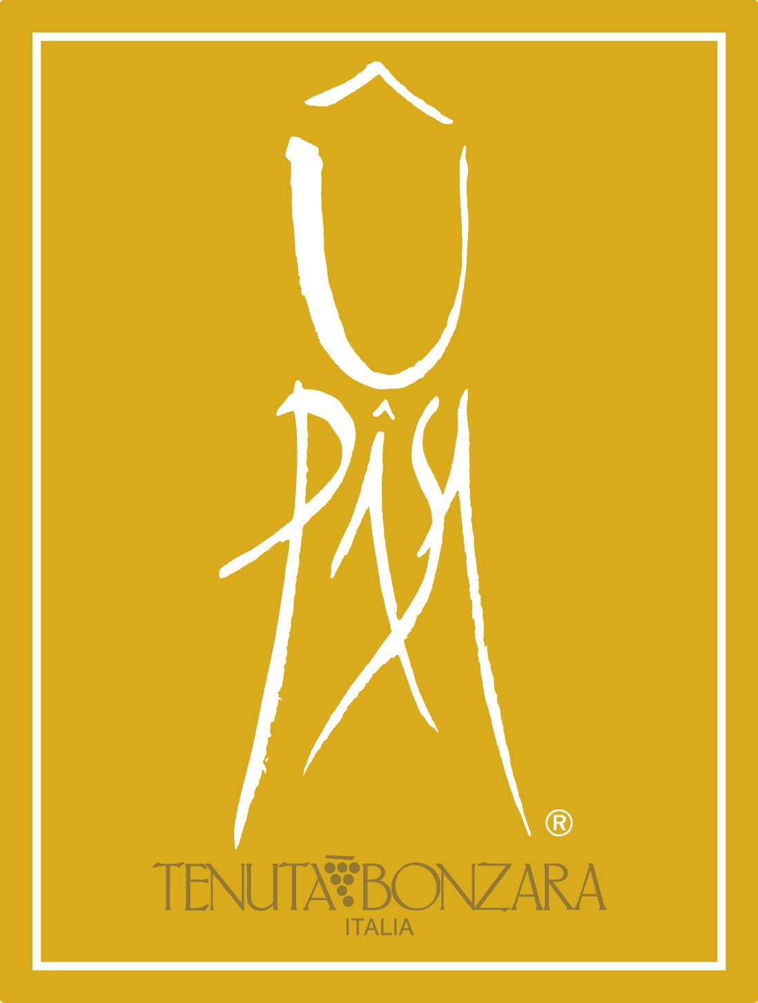 U Pâsa 2006