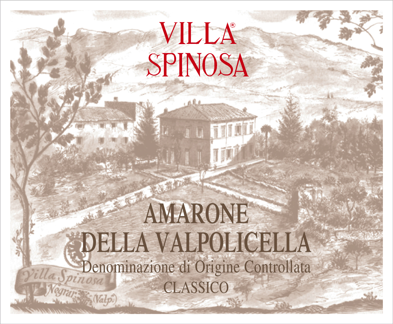 Amarone della Valpolicella 2006
