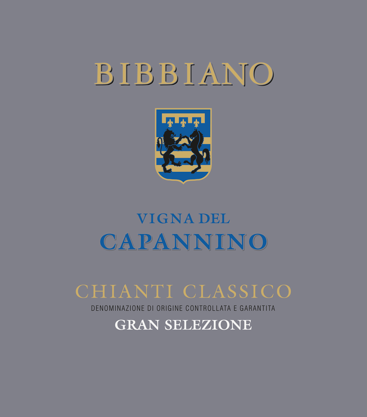 Chianti Classico Gran Selezione Vigna del Capannino 2007