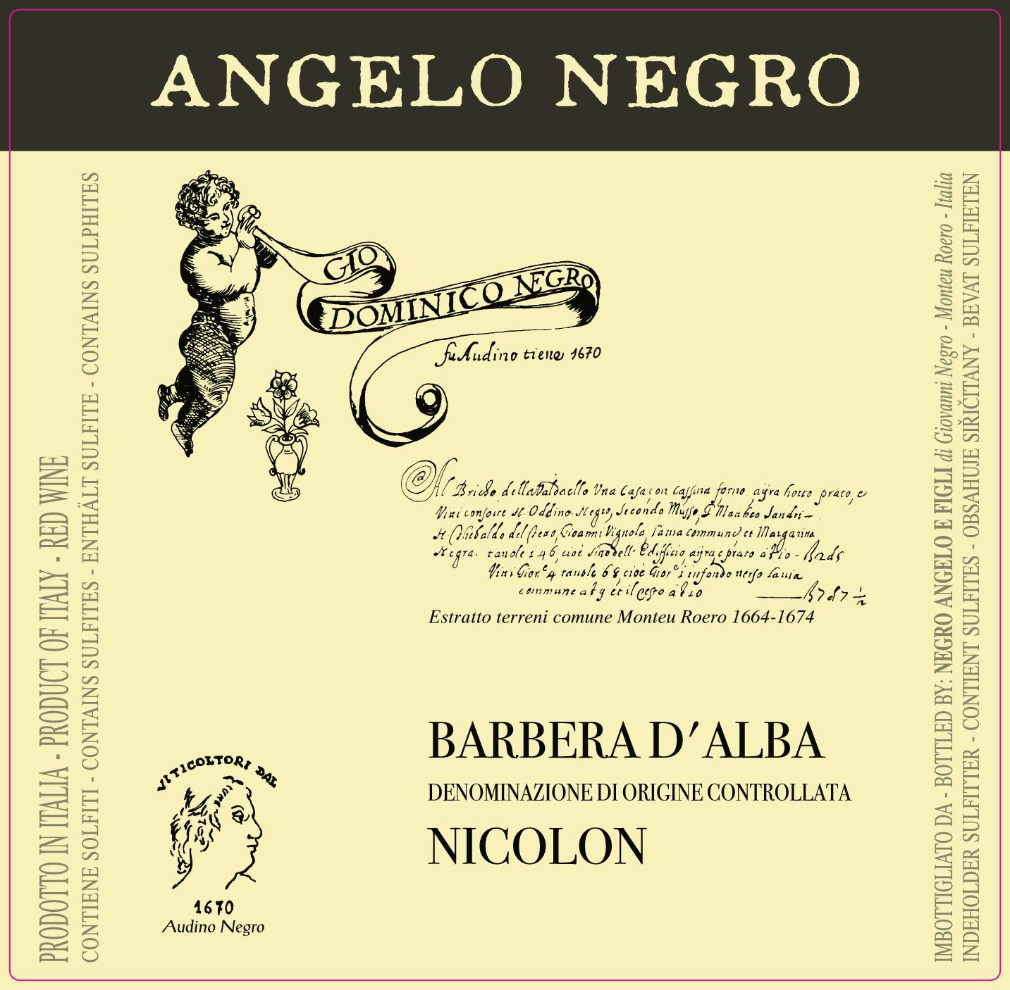 Barbera d'Alba Nicolon 2011