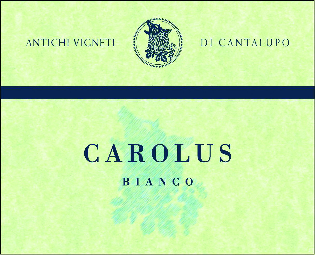 Carolus sa