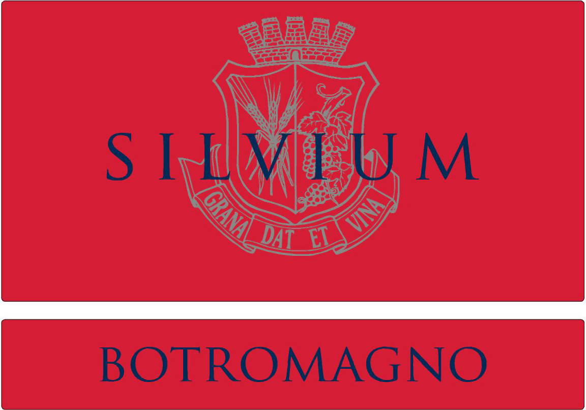 Silvium 2008