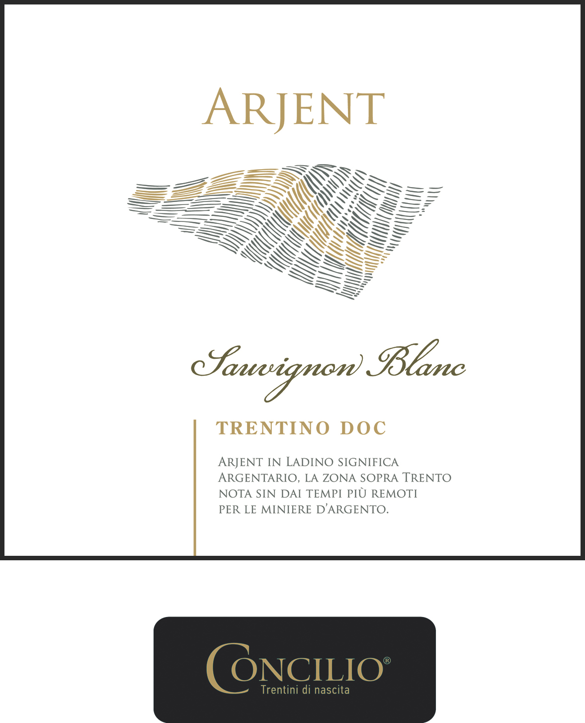 Sauvignon Blanc Arjent  2018