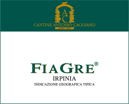 Fiagre 2010