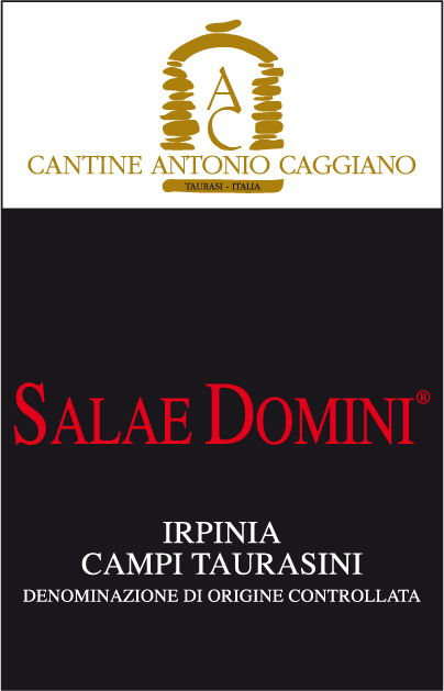 Salae Domini 2008
