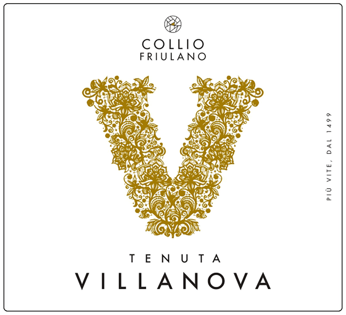 Friulano Collio 2024
