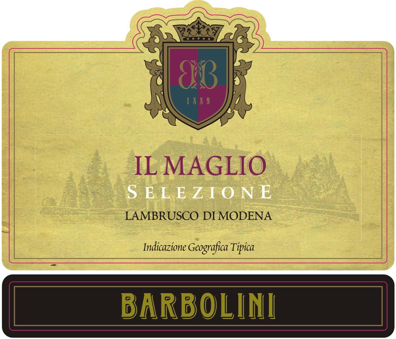 Lambrusco di Modena Il Maglio sa