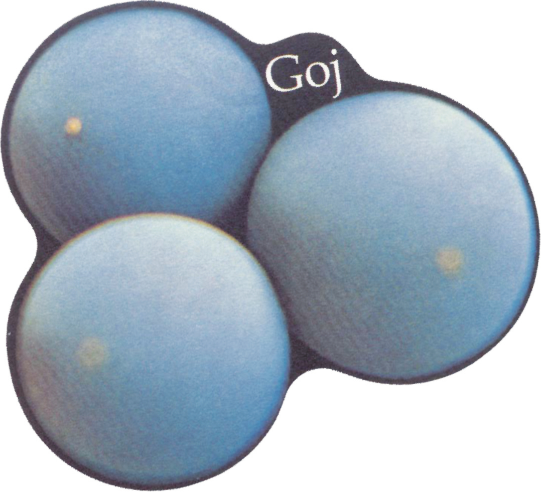 Goj 2021