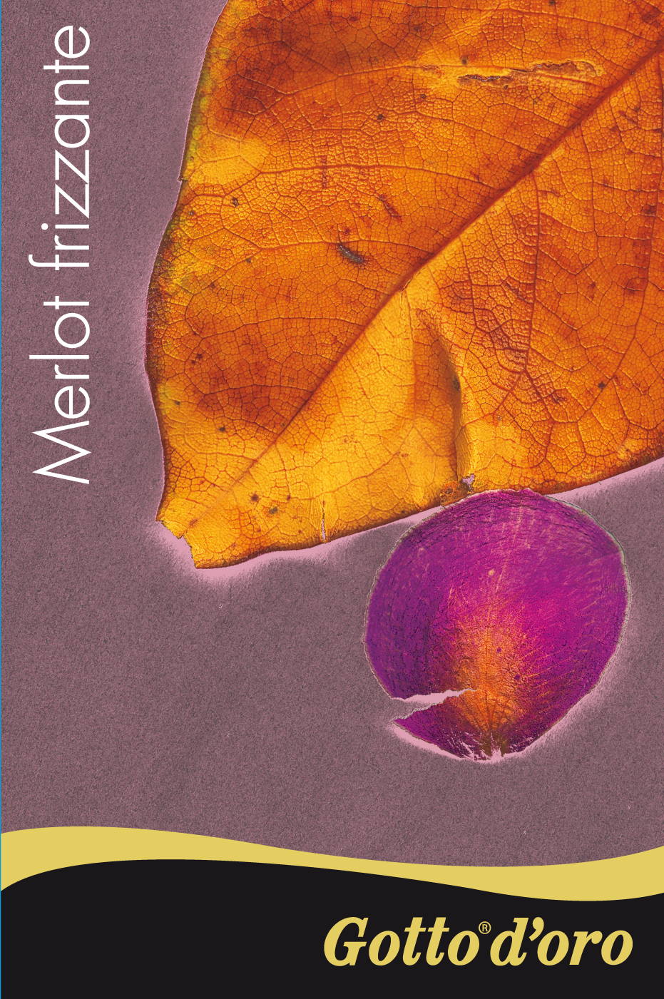 Merlot Frizzante Igp Lazio 2009