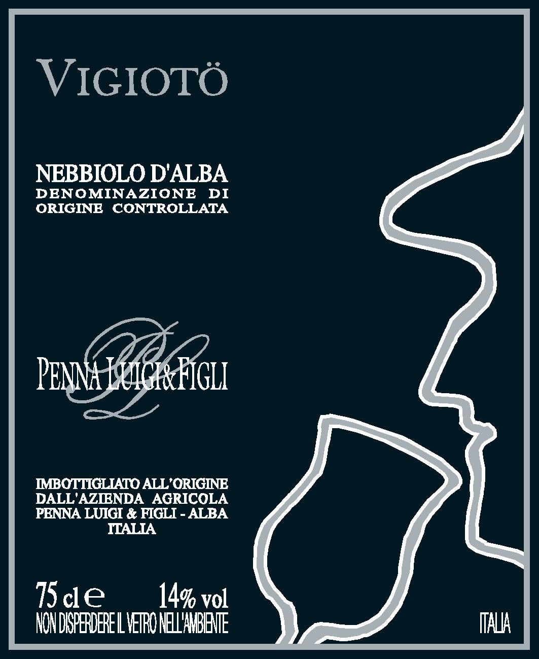 Nebbiolo d'Alba Doc Vigiotö 2009