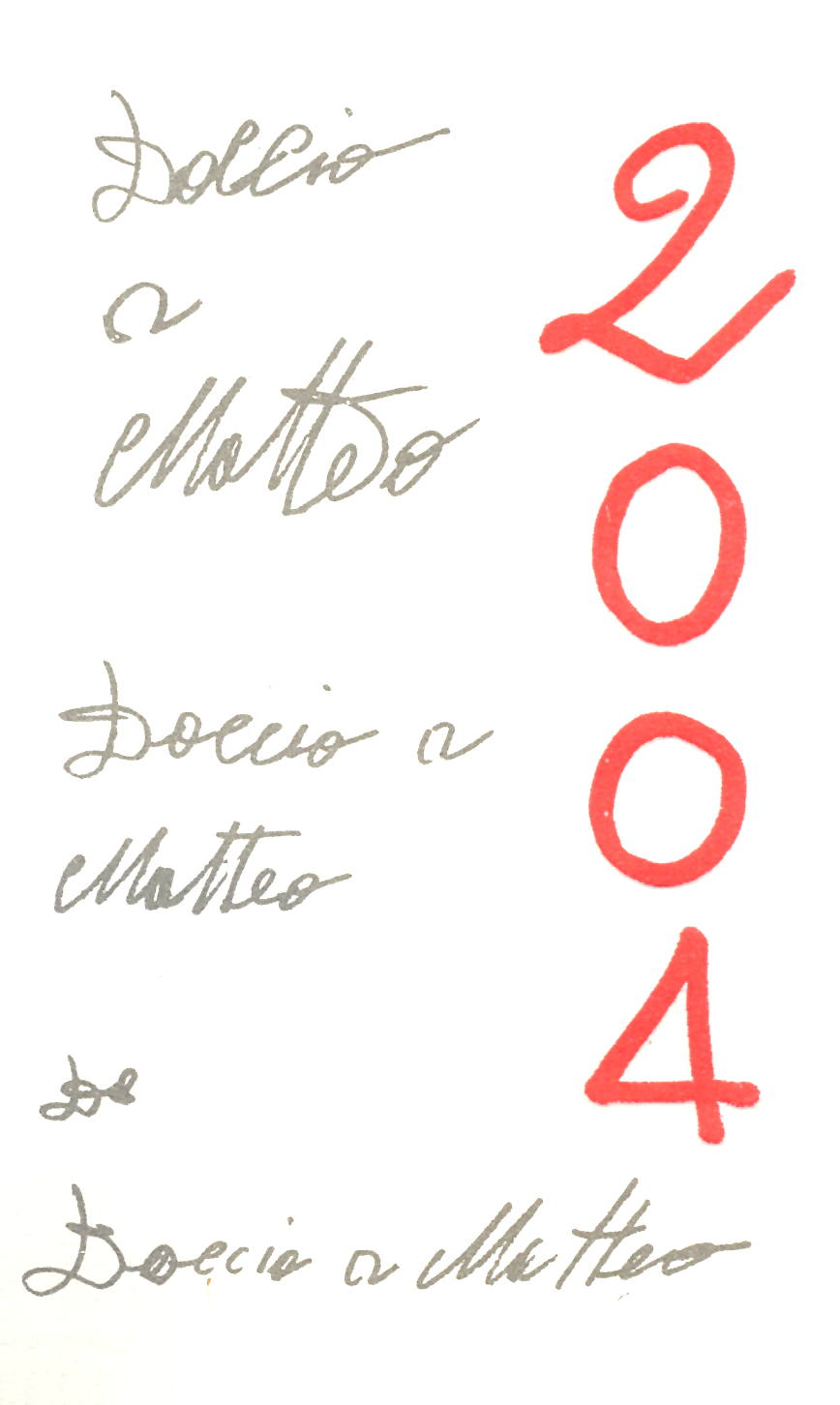 Chianti Classico Riserva Doccio A Matteo 2008