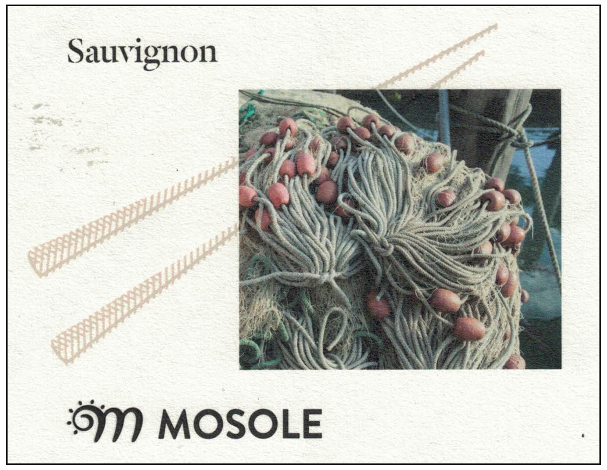 Sauvignon 2010