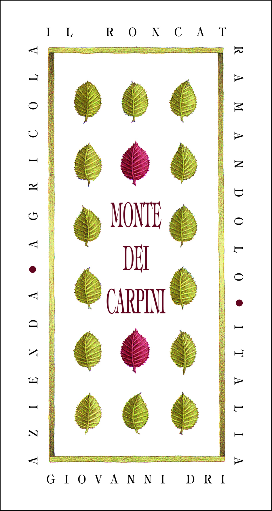 Pignolo Monte dei Carpini 2007