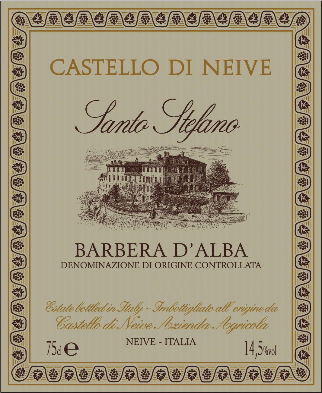 Barbera d'Alba Santo Stefano 2013