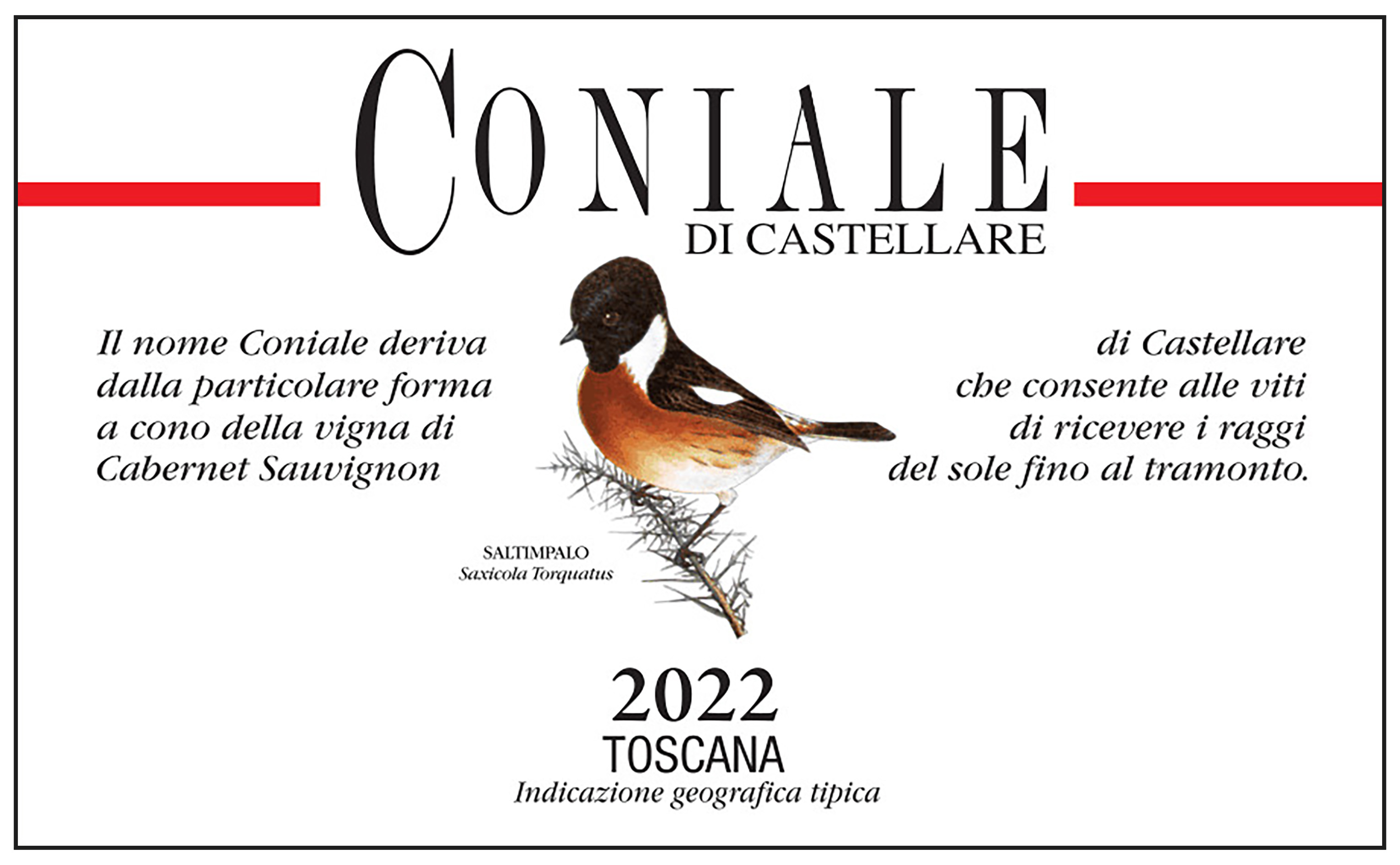 Coniale 2015