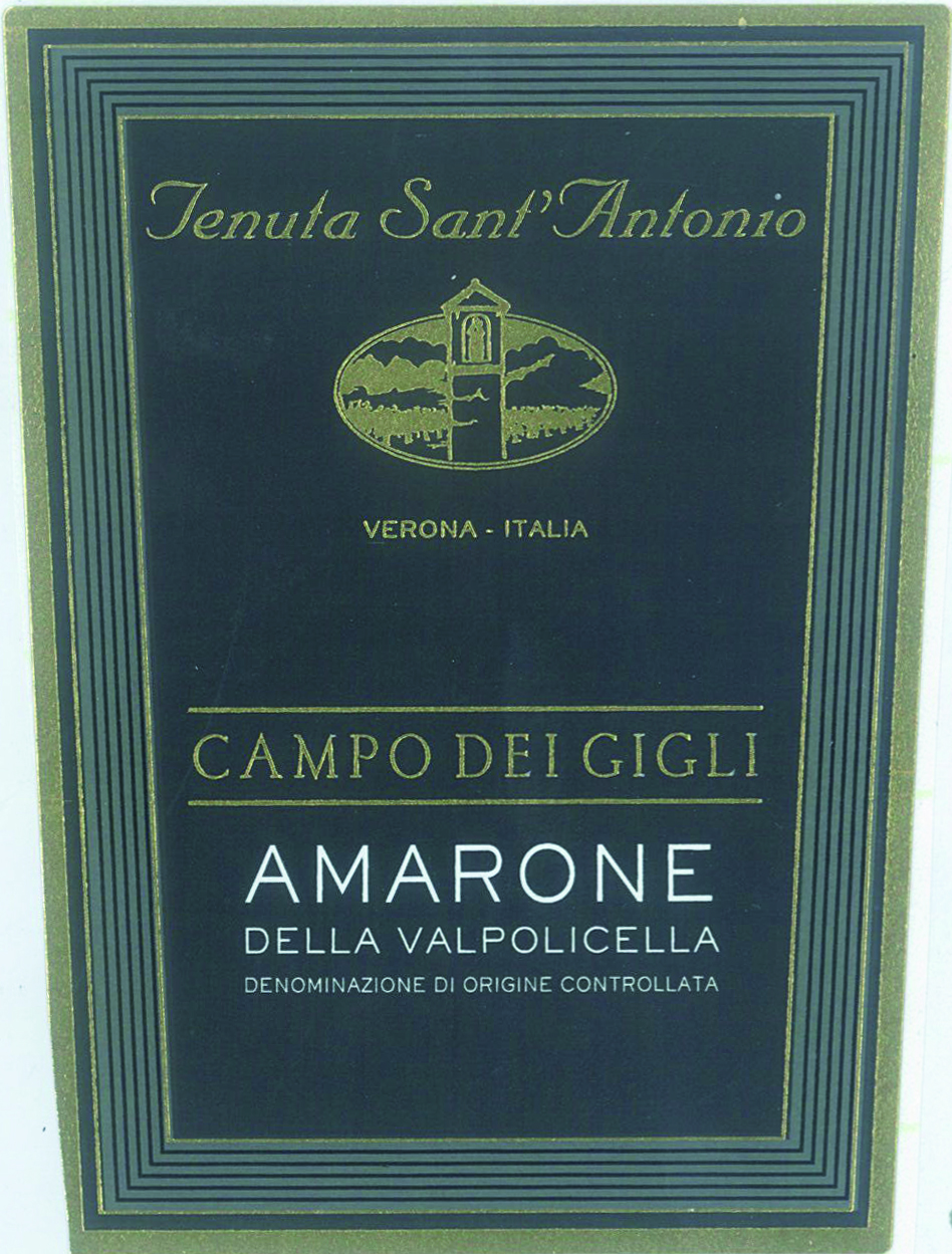 Amarone Campo dei Gigli 2013