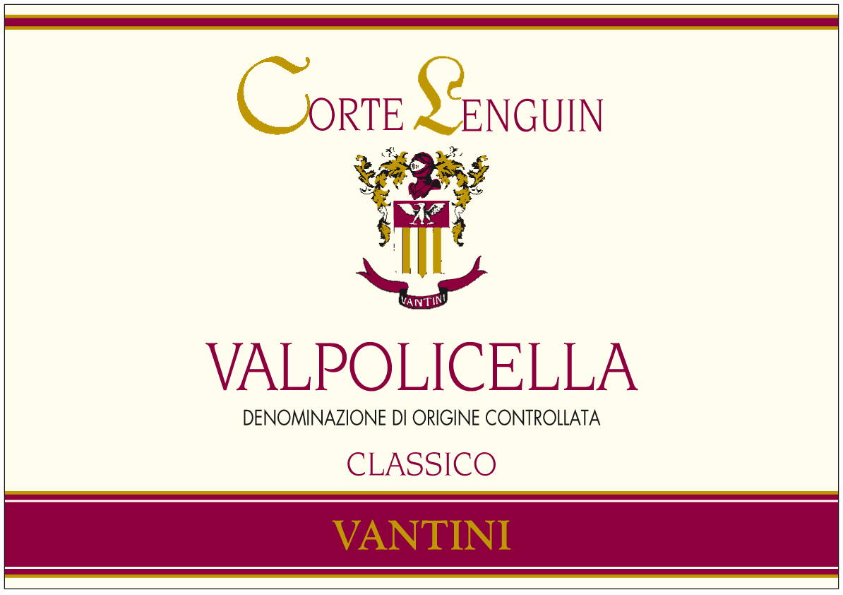 Valpolicella Classico Vantini 2009