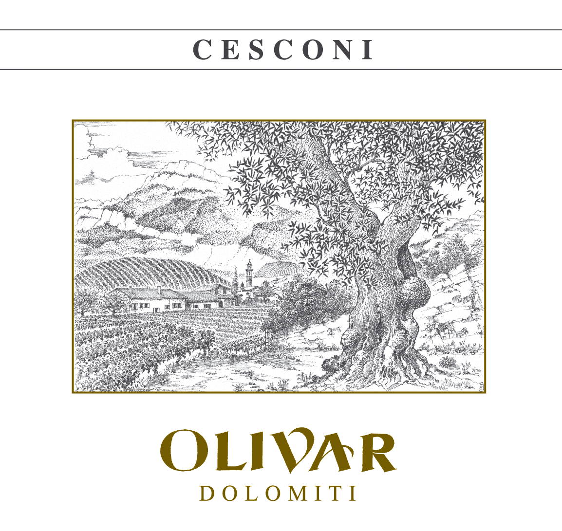 Olivar 2008