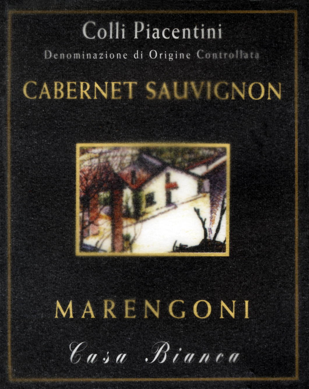 Cabernet Sauvignon Colli Piacentini 2006