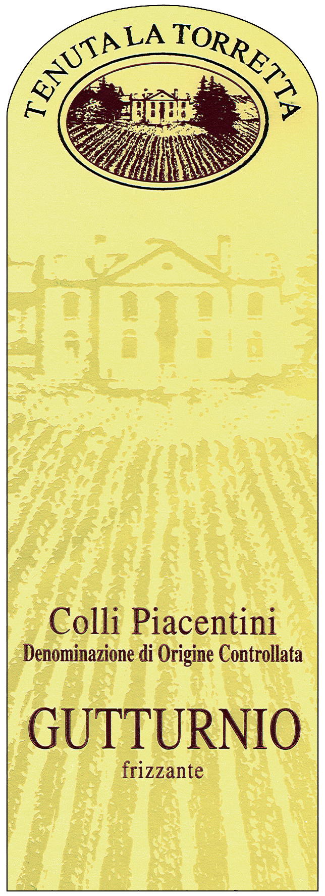 Gutturnio Frizzante 2008