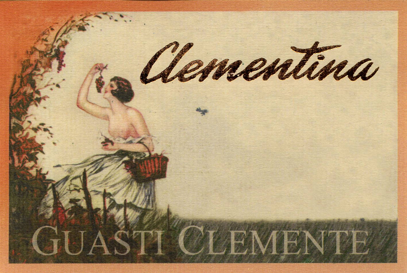 Barbera Vivace Clementina 2007