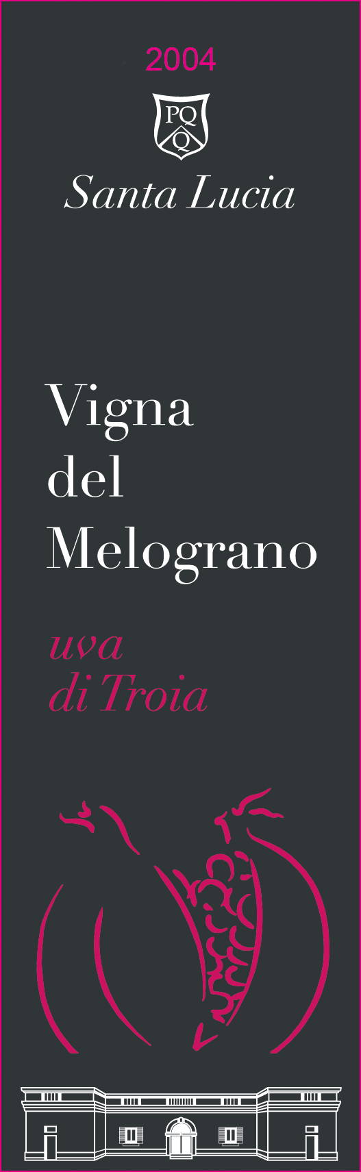 Nero di Troia Vigna del Melograno 2008