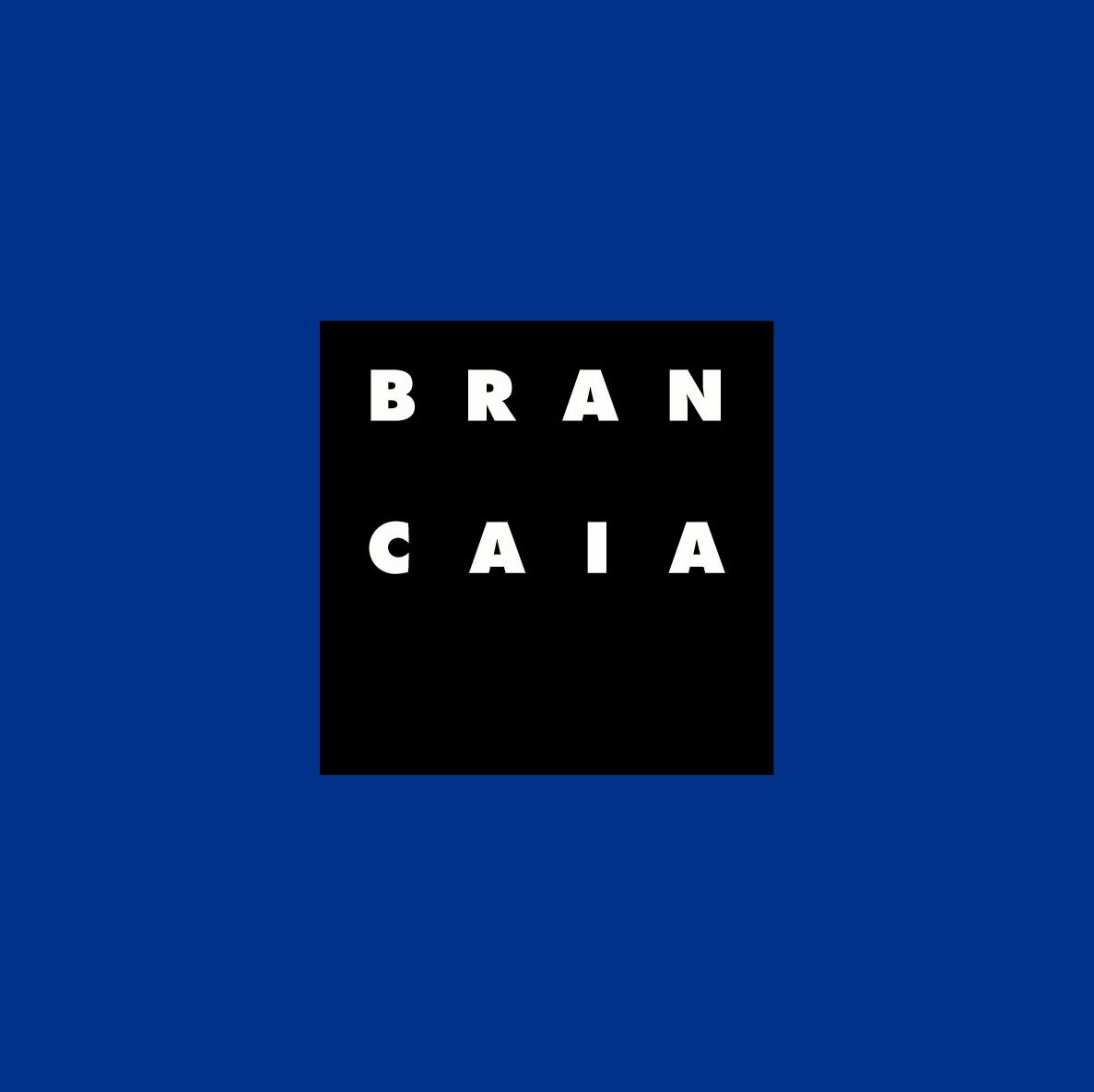 Brancaia Il Blu 2007