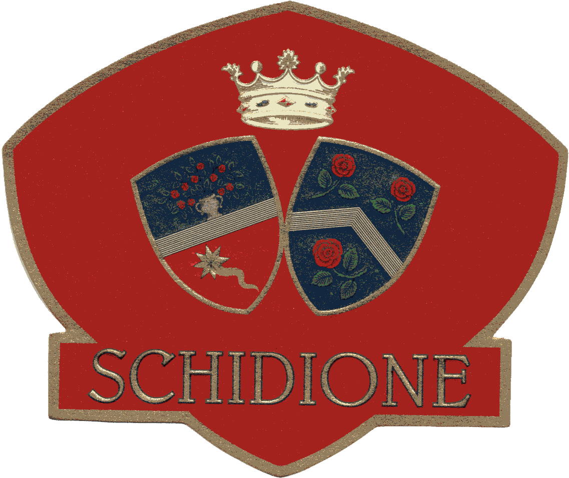 Schidione 2010