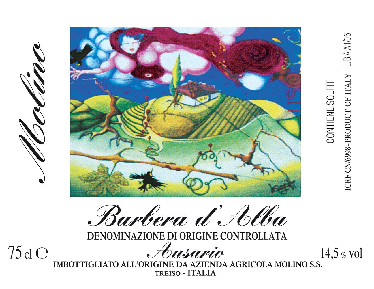 Barbera d'Alba Ausario Superiore 2006