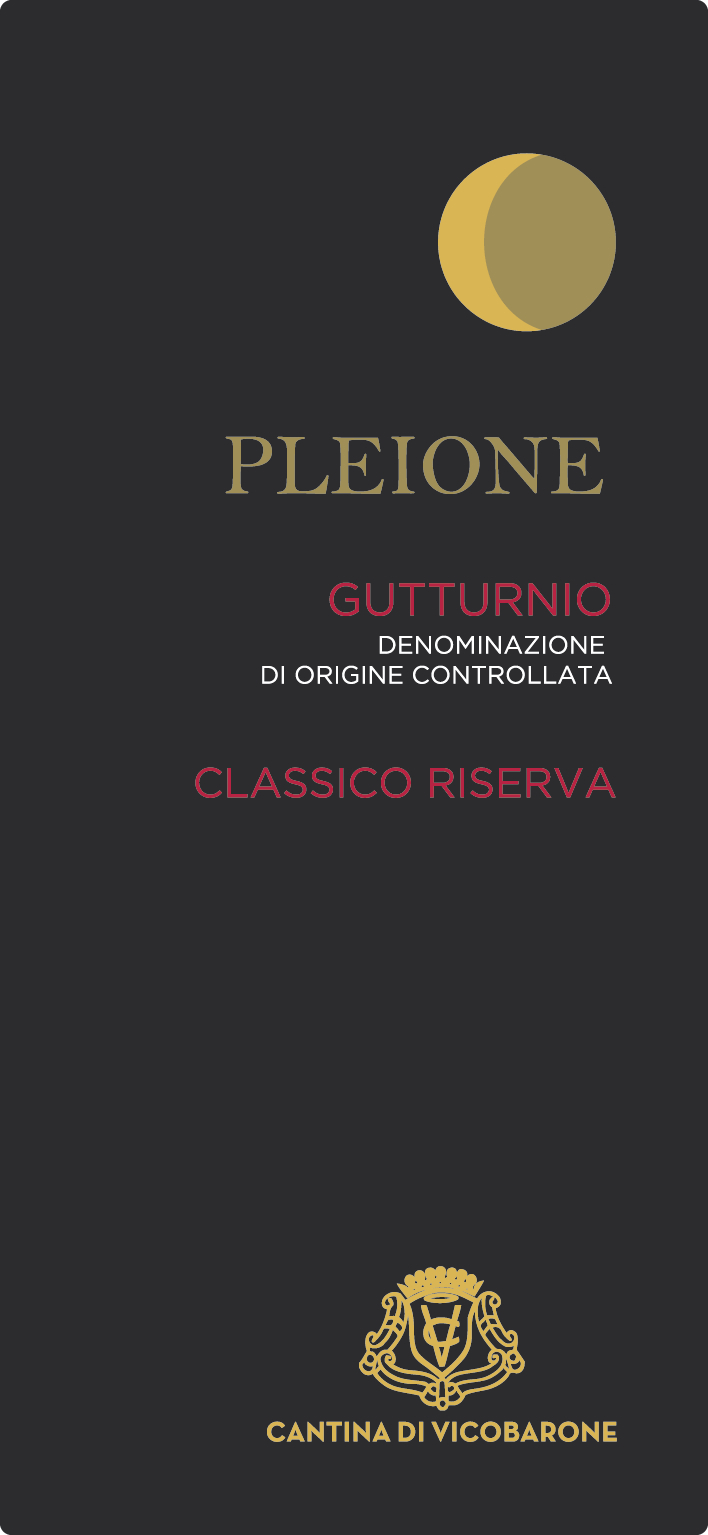Gutturnio Classico Riserva Pleione 2005