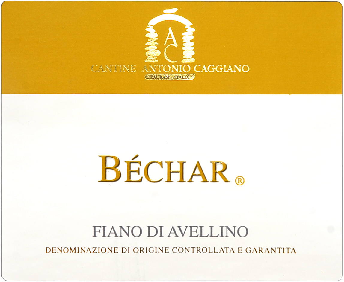 Béchar 2007