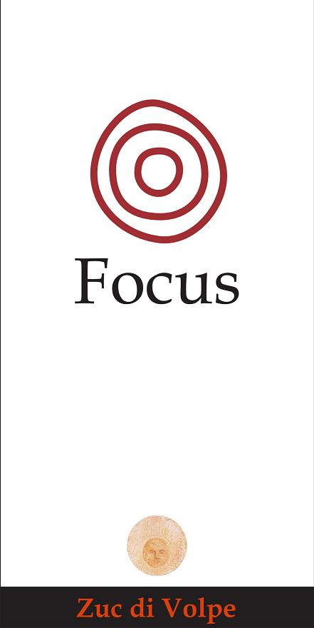 Focus Merlot Zuc di Volpe 2013