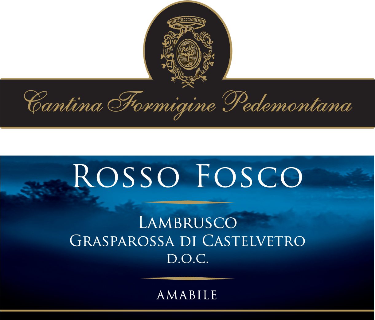 Lambrusco Grasparossa di Castelvetro Doc Amabile sa