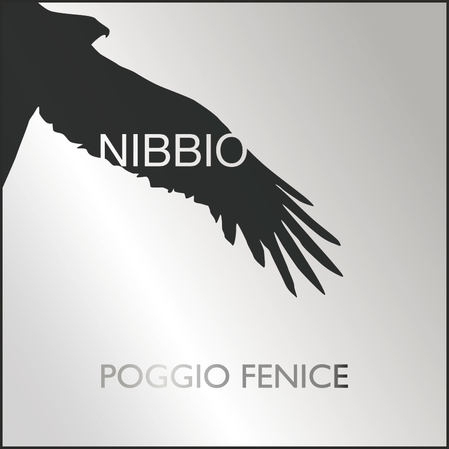 Nibbio 2012