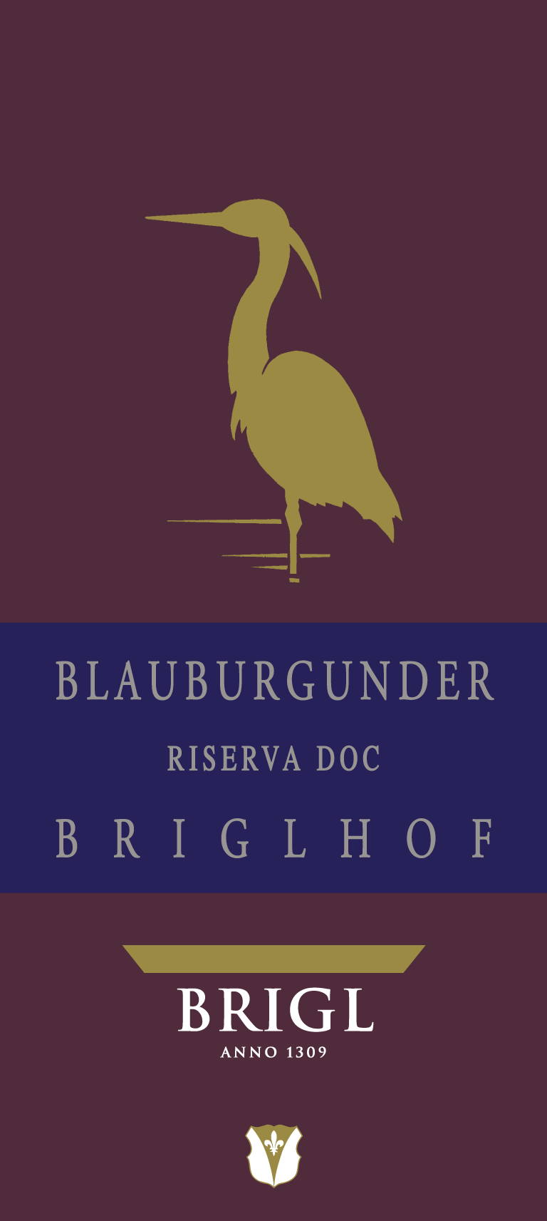 Alto Adige Pinot Nero Doc Briglhof Riserva  2006