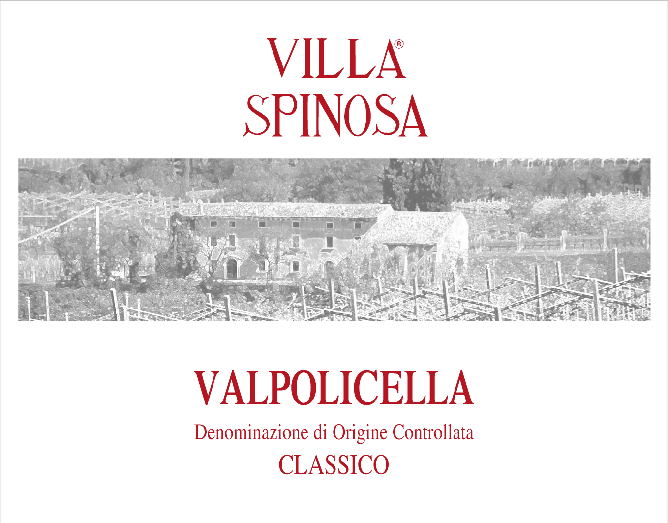 Valpolicella Classico 2010